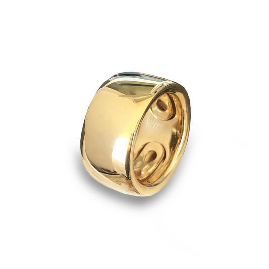 Labrioro Anello Icon
